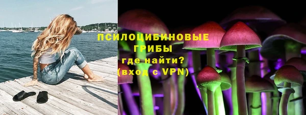 мдпв Великий Новгород